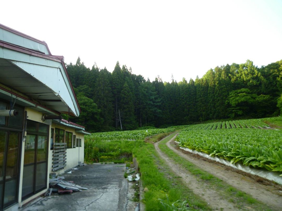 100 Yen 10LDK House on 36,433 sqm Land Near Appi Kogen, Iwate - Thumbnail 3