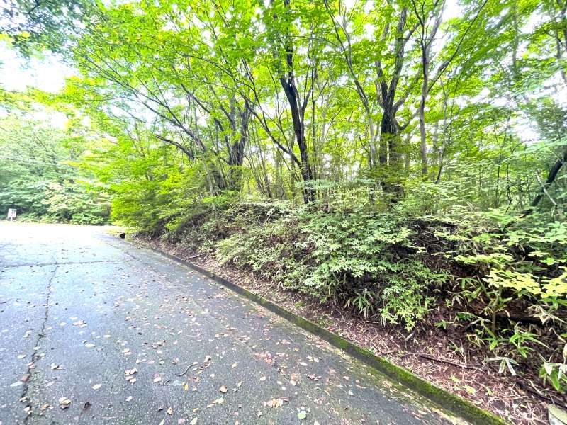 Land for Sale in Angel Forest Nasu Shiunkundai, Tochigi - Thumbnail 3