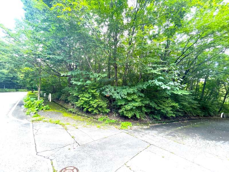 Land for Sale in Angel Forest Nasu Shiunkundai, Tochigi - Thumbnail 4