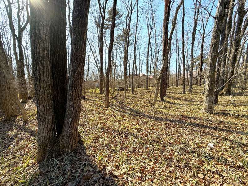 Land for Sale in Angel Forest Nasu Yuseikyo Resort, Tochigi - Thumbnail 2