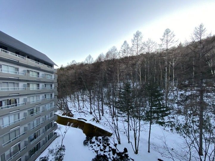 Mount Marina Kusatsu Bldg 2LDK Condo for Sale in Gunma - Thumbnail 2