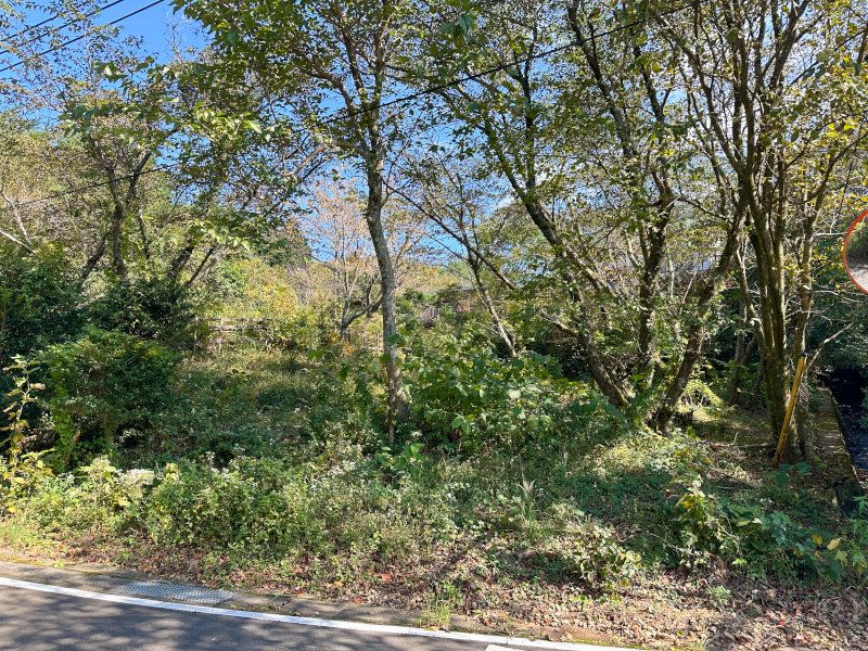 Land for Sale in Izu Fujimi Highlands Komatsugahara Resort, Shizuoka - Thumbnail 4