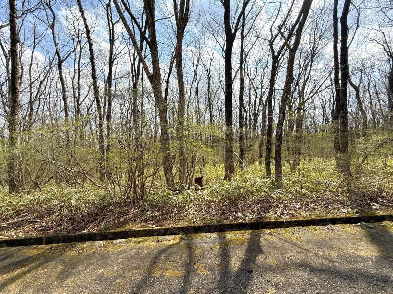 906 sqm Land for Sale in Angel Forest Nasu, Tochigi - Thumbnail 2