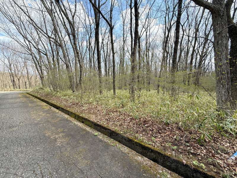 906 sqm Land for Sale in Angel Forest Nasu, Tochigi - Thumbnail 3
