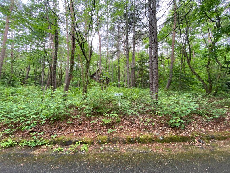 990 sqm Land for Sale in Angel Forest Asama Highlands, Gunma - Thumbnail 3