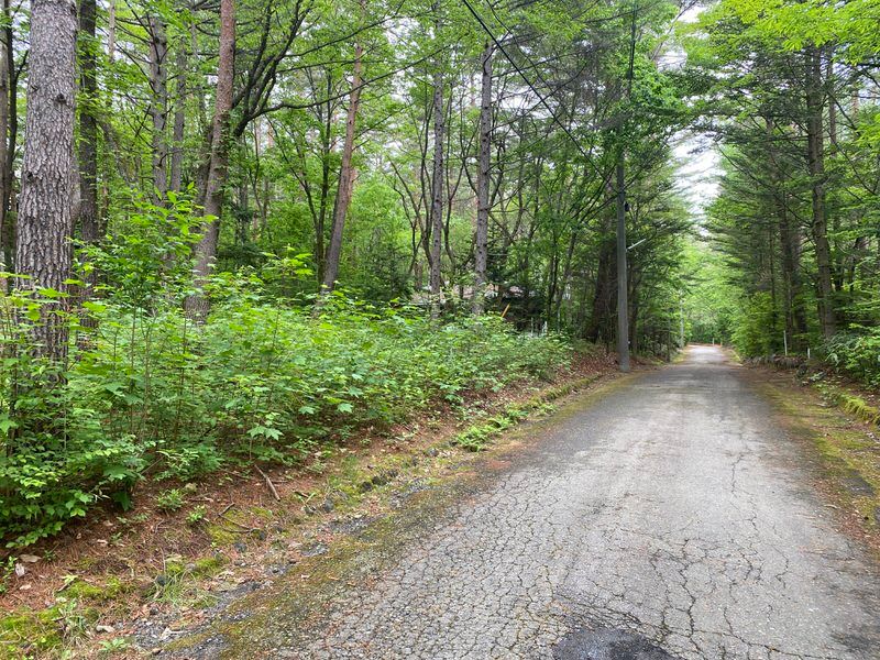 990 sqm Land for Sale in Angel Forest Asama Highlands, Gunma - Thumbnail 2