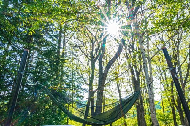 2507 sqm Camping Land for Sale in Kumamoto's Soyo Gorge - Thumbnail 4