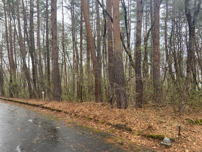 630 sqm Land for Sale in Angel Forest Asama Highlands, Tsumagoi - Thumbnail 4