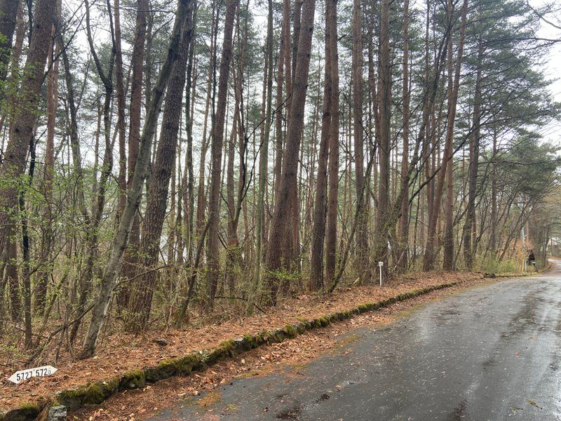 630 sqm Land for Sale in Angel Forest Asama Highlands, Tsumagoi - Thumbnail 3