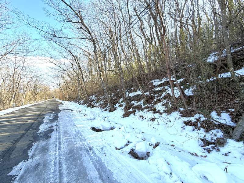 Land for Sale in Angel Forest Nasu Hakumondai, Tochigi - Thumbnail 2