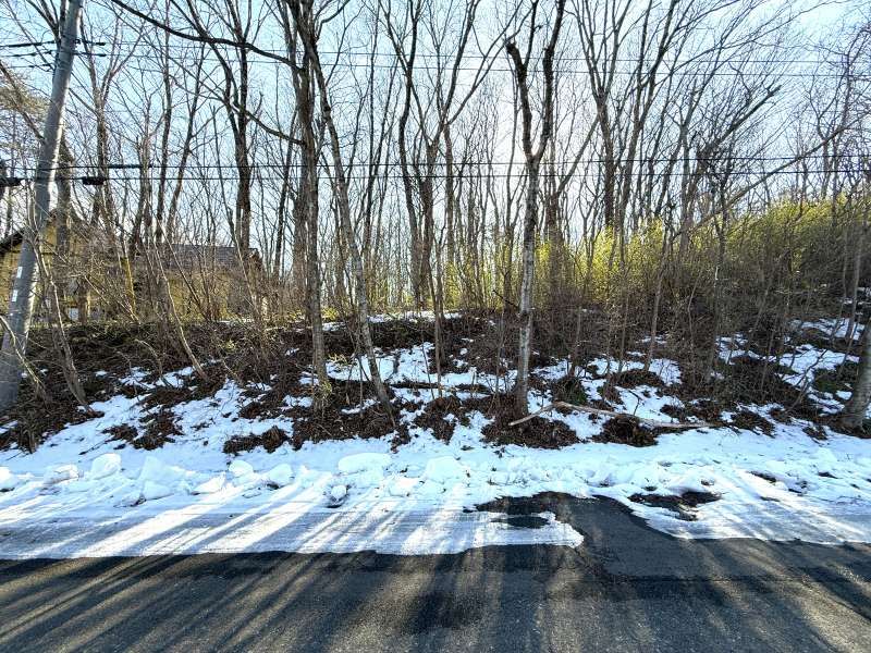 Land for Sale in Angel Forest Nasu Hakumondai, Tochigi - Thumbnail 3