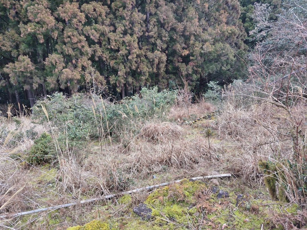 38,000 sqm Land with Houses in Kumano, Mie for 1 Million Yen - Thumbnail 4