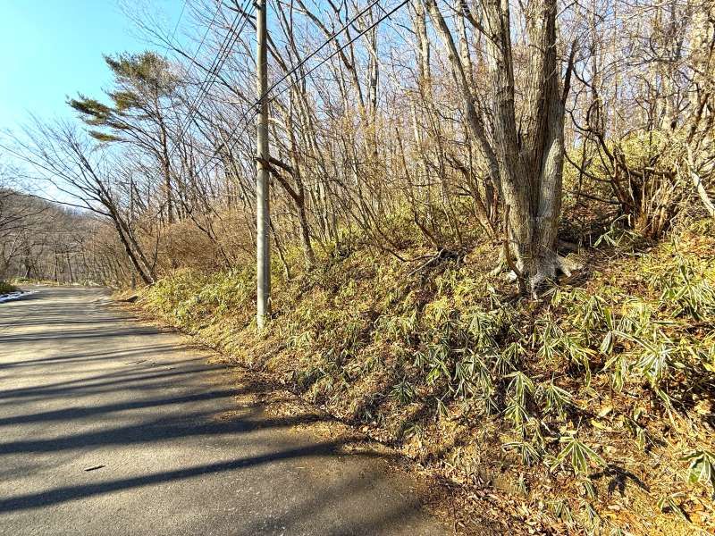 Land for Sale in Angel Forest Nasu Yusei-kyo, Tochigi - Thumbnail 4