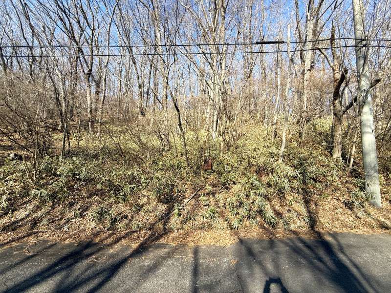Land for Sale in Angel Forest Nasu Yusei-kyo, Tochigi - Thumbnail 3