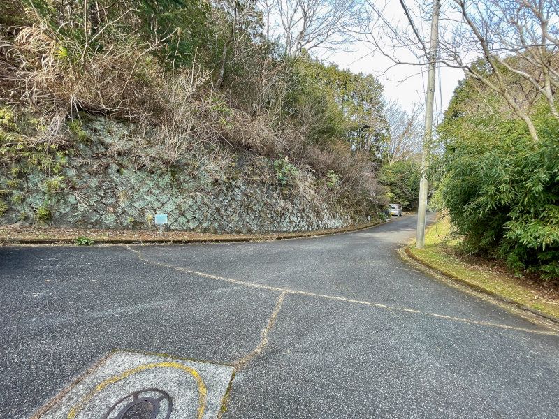 407m² Land Plot in Izu Emerald Town, Minami-Hakone - Thumbnail 4