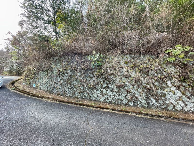 407m² Land Plot in Izu Emerald Town, Minami-Hakone - Thumbnail 3