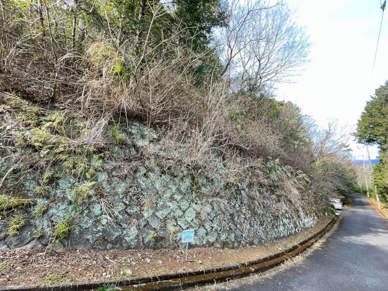407m² Land Plot in Izu Emerald Town, Minami-Hakone - Thumbnail 2