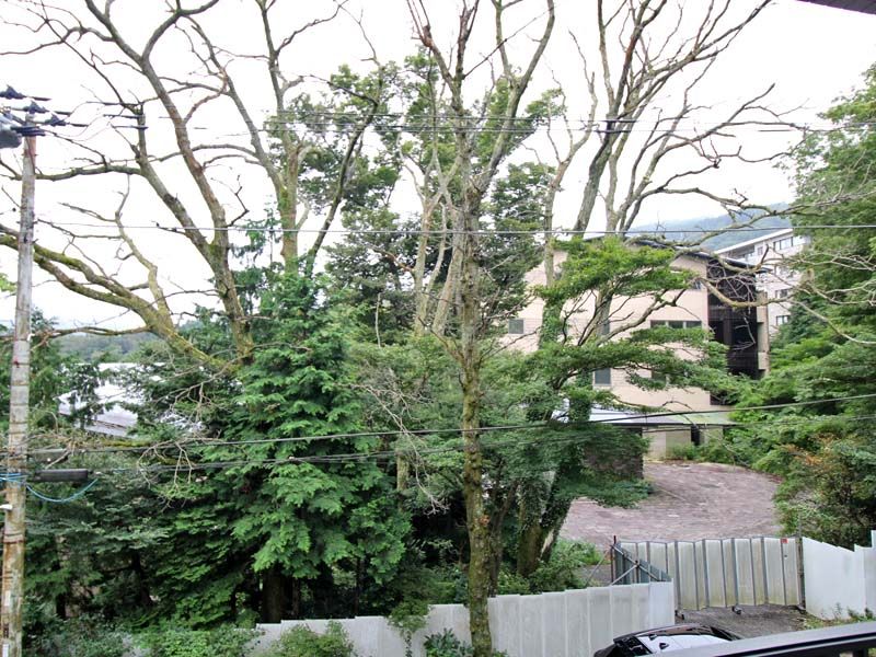 Gora Condo for Sale in Hakone with 24h Hot Spring Bath - Thumbnail 3