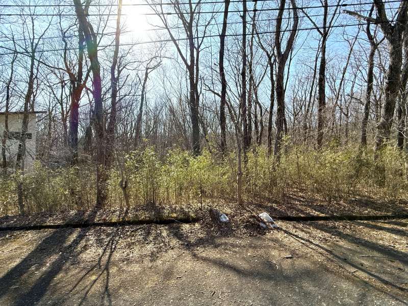 Land for Sale in Angel Forest Nasu Seiryuso, Tochigi - Thumbnail 3