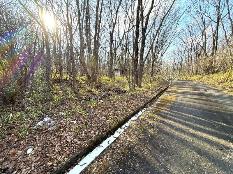 Angel Forest Nasu Yuseikyo Land for Sale in Tochigi - Thumbnail 2