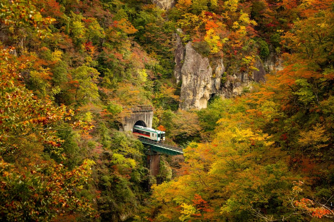 3,886 sqm Woodland for Sale in Miyagi Near Naruko Onsen - Thumbnail 3