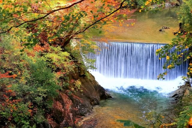 3,886 sqm Woodland for Sale in Miyagi Near Naruko Onsen - Thumbnail 4