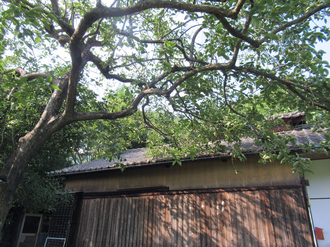 Property in Kunimi, Japan