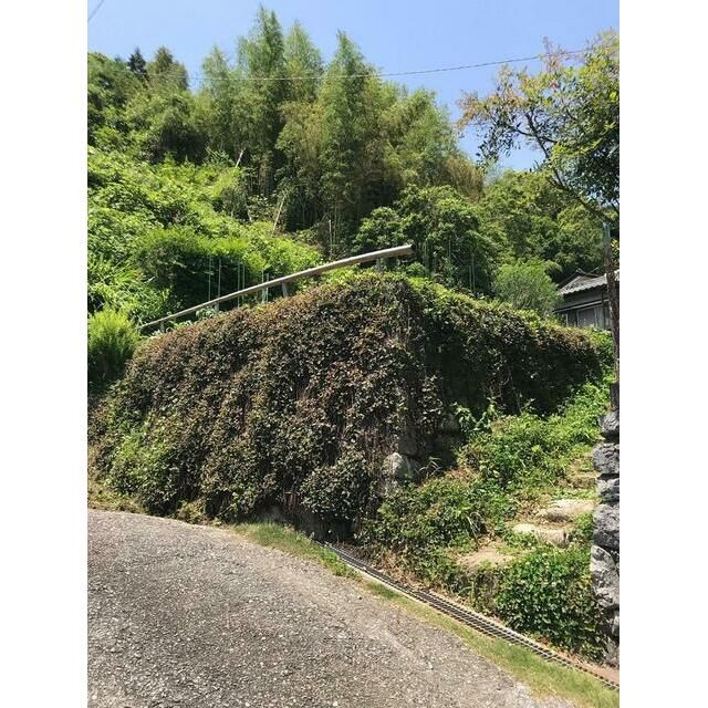 Land for Sale in Kochi City – 319.73 sqm Corner Lot - Thumbnail 2