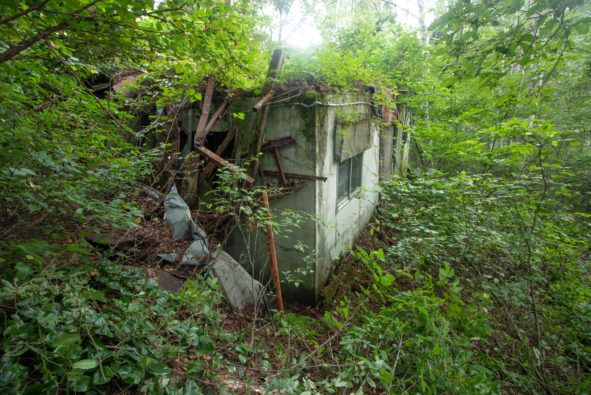 100 Yen Forest Villa Project in Nagano's Madarao Highlands - Thumbnail 4