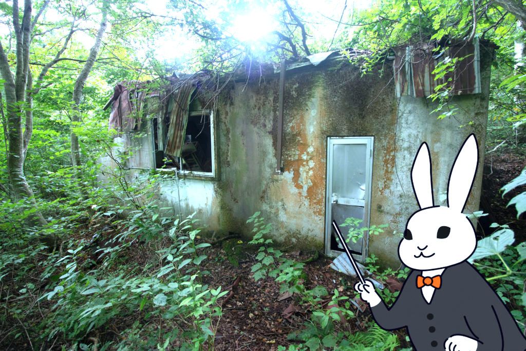 100 Yen Forest Villa Project in Nagano's Madarao Highlands - Thumbnail 2