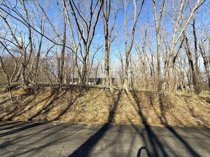 Angel Forest Nasu Yusei-kyo Land for Sale in Tochigi - Thumbnail 2