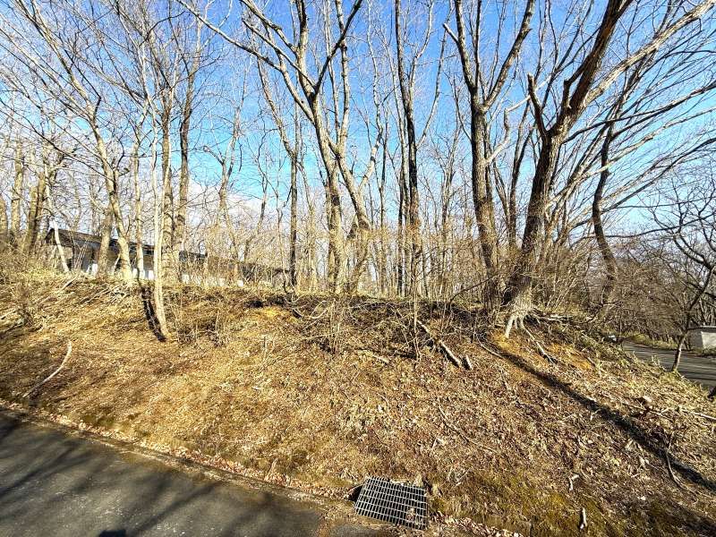 Angel Forest Nasu Yusei-kyo Land for Sale in Tochigi - Thumbnail 3