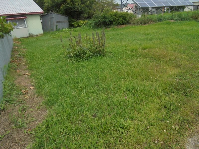 Vacant Land for Sale in Shiranuka Town, Hokkaido - 268 sqm - Thumbnail 2