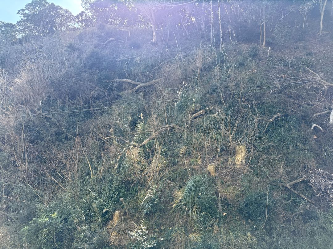 2DK Apartment in Onjuku with Ocean View and Hot Spring - Thumbnail 3