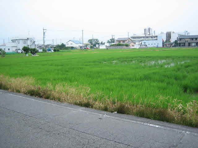 Property details: Land for sale | Kidanuma Higashikiri, Ama City, Aichi Prefecture - Thumbnail 2