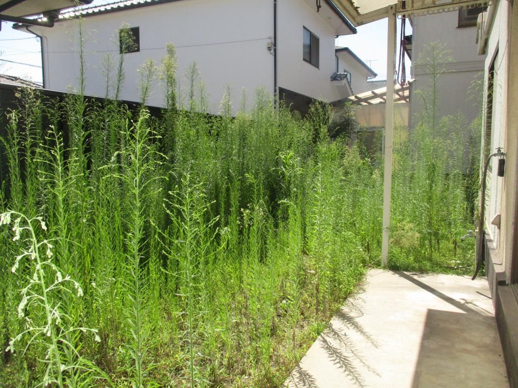 5DK Vacant House for Sale in Quiet Kasaoka, Okayama - Thumbnail 2