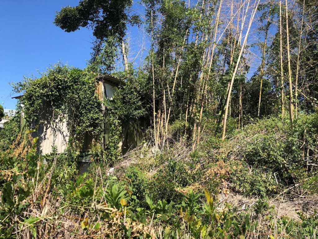 Spacious 533 sqm Corner Residential Plot in Quiet Uki City - Thumbnail 2