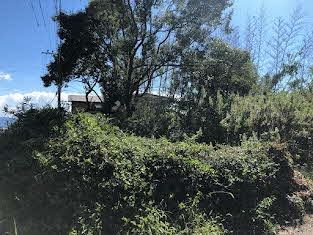 Spacious 533 sqm Corner Residential Plot in Quiet Uki City - Thumbnail 3