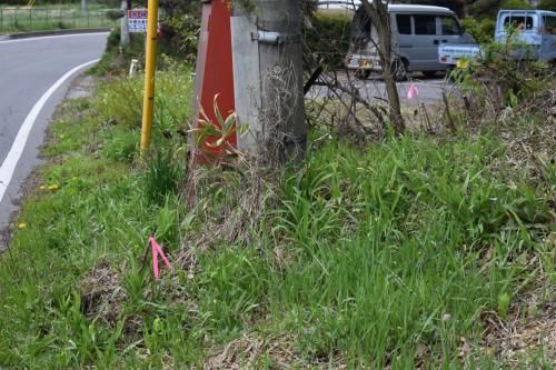 Vacant Land for Sale in Tsumagoi Village, Gunma - 243 sqm Plot - Thumbnail 4