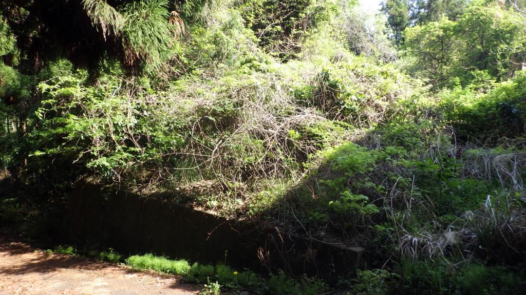 Land for Sale in Kitaibaraki, Ibaraki - 158 sqm - Thumbnail 2