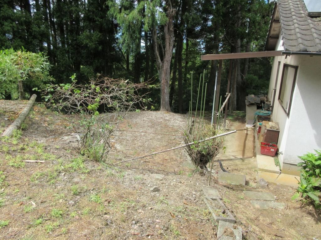 1954 3DK House in Kokonoe Town's Iida Highlands, Oita - Thumbnail 2