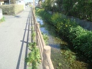 348.25 sqm Vacant Residential Land for Sale in Tochigi City - Thumbnail 2
