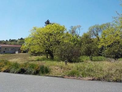 Large Vacant Land Plot in Okinoshima, Shimane - Agricultural Promotion Area — Land, Okinoshima, Shimane