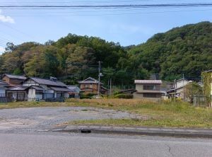 Flat 327 sqm Land for Sale in Minobu Town, Yamanashi - Thumbnail 2