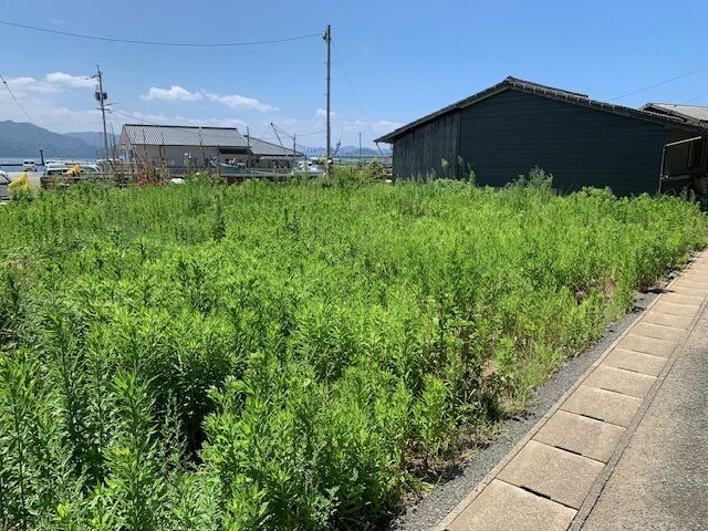 Land for Sale Near Oshima Port in Hagi, Yamaguchi with Farm Plot - Thumbnail 3