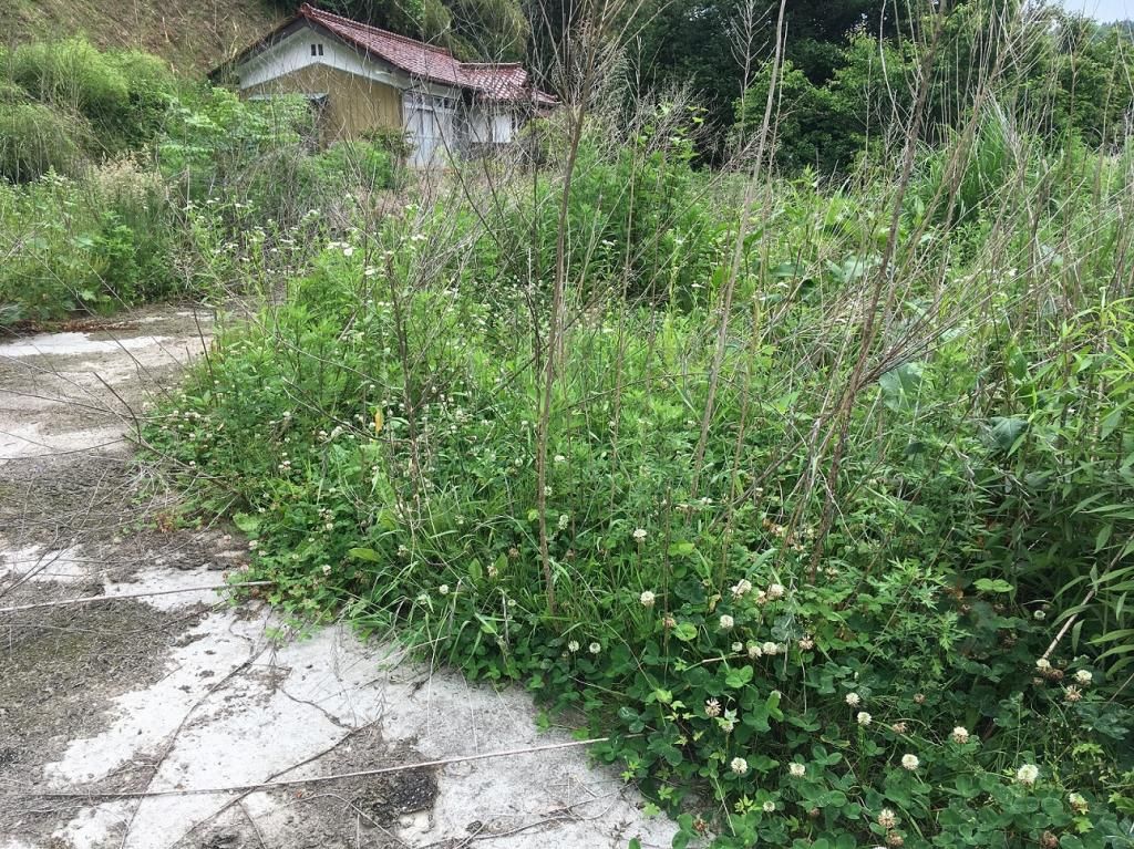 Vacant Land for Sale in Tamura City, Fukushima - Negotiable Price - Thumbnail 4