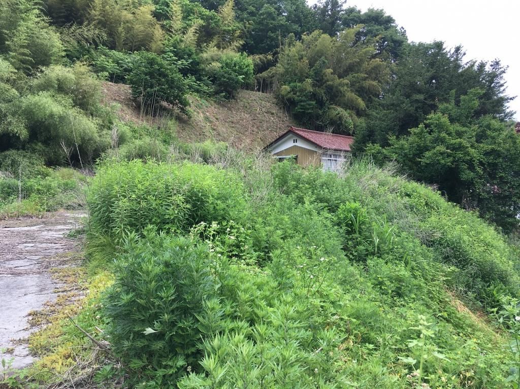Vacant Land for Sale in Tamura City, Fukushima - Negotiable Price - Thumbnail 2