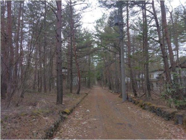 Residential Land for Sale in Tsumagoi, Gunma – 330 sqm - Thumbnail 3
