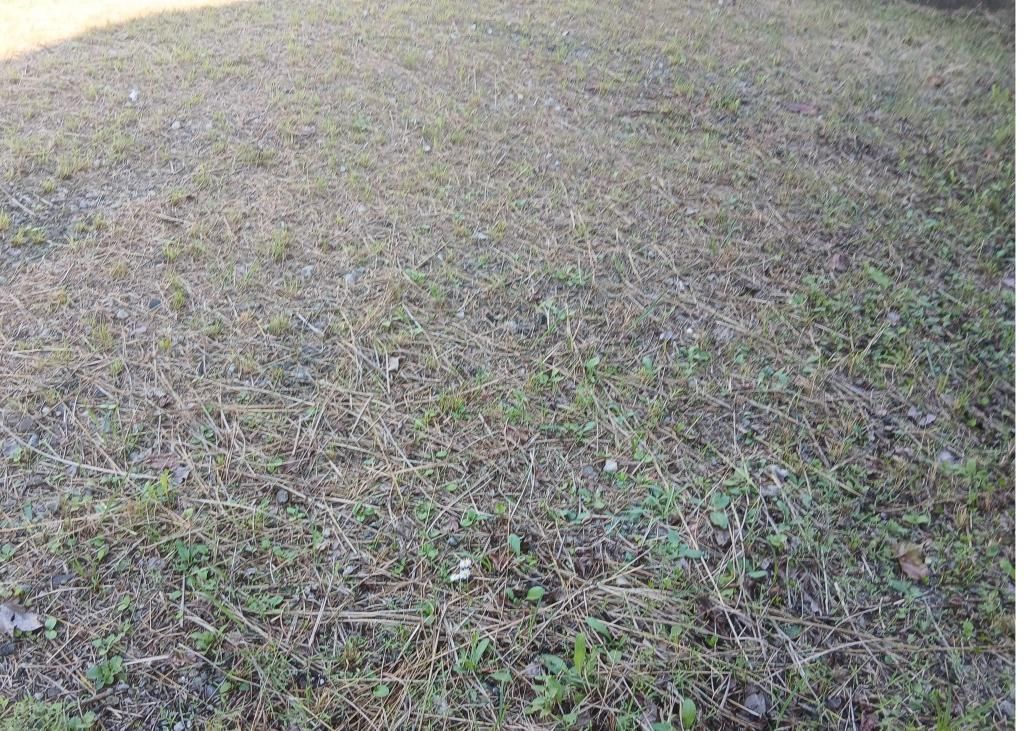 Vacant Land for Sale on Main Street in Shimoichi, Nara - Thumbnail 4