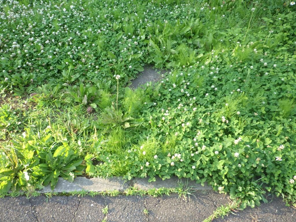 413.74 sqm Residential Land for Sale in Iizuna, Nagano - Thumbnail 2